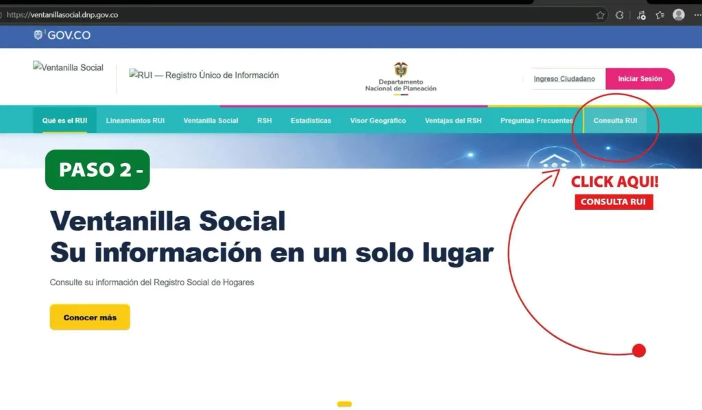 Elige “Consulta RUI”