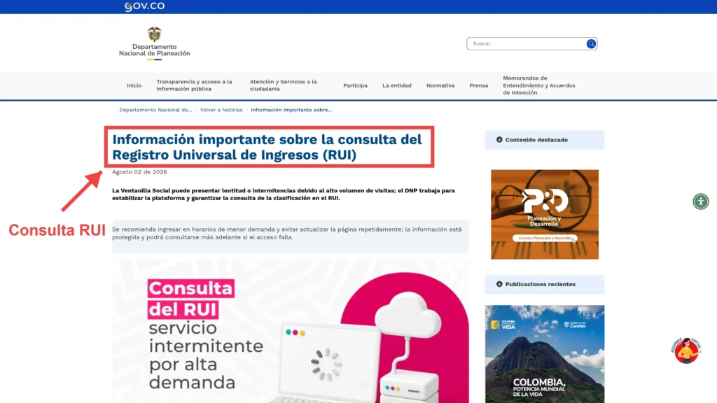 Consulta RUI