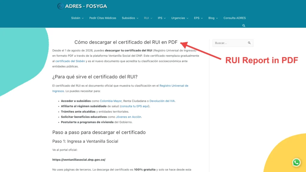 RUI Report in PDF