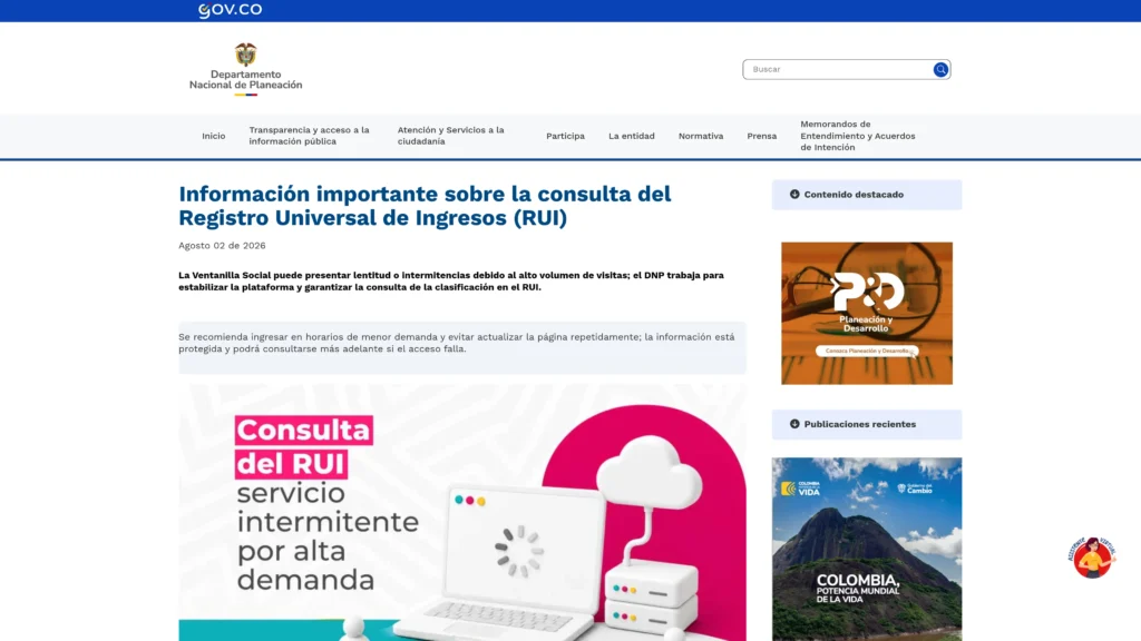 consultar rui offcil website screenshot